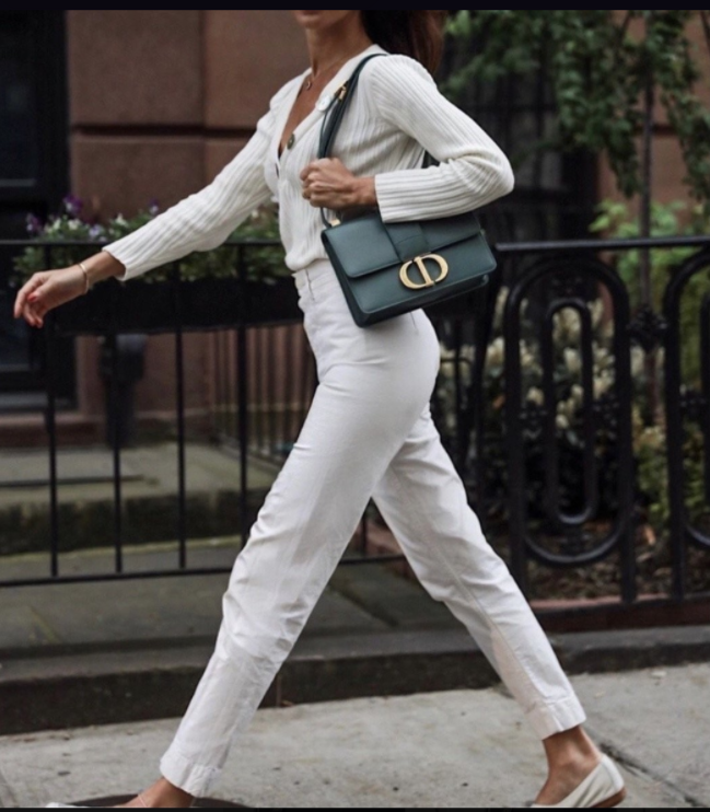 디올 새들 몽테인백